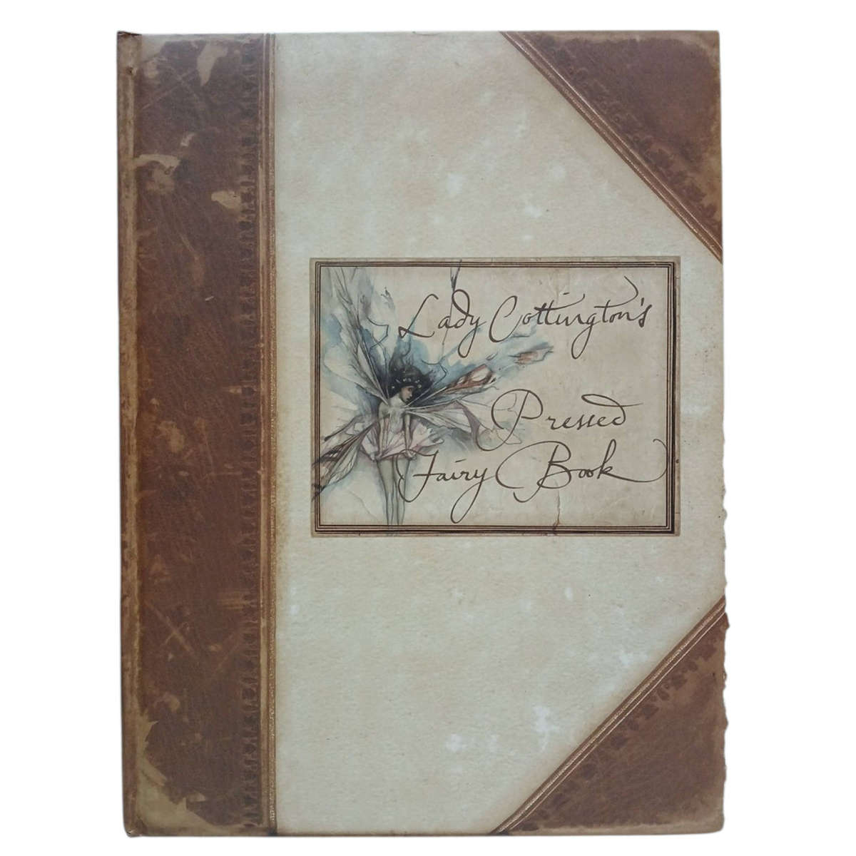 1994 Lady Cottington's Pressed Fairy  Book by Terry Jones Hardcover w/o Dustjacket