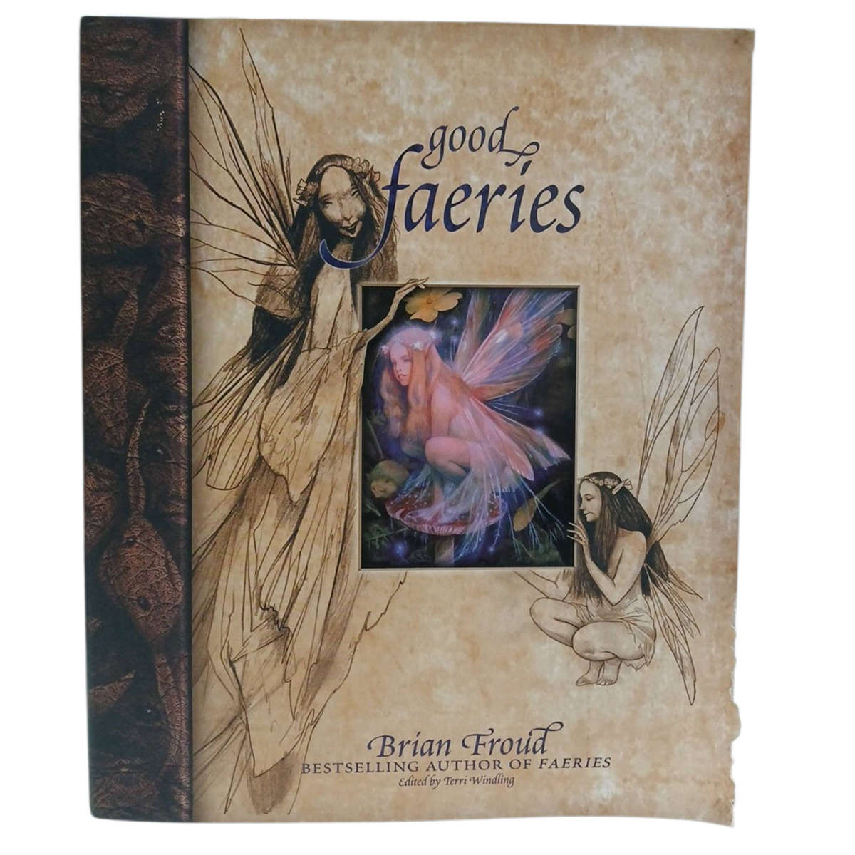 1998 Good Faeries by Brian Froud Hardcover w/Dustjacket