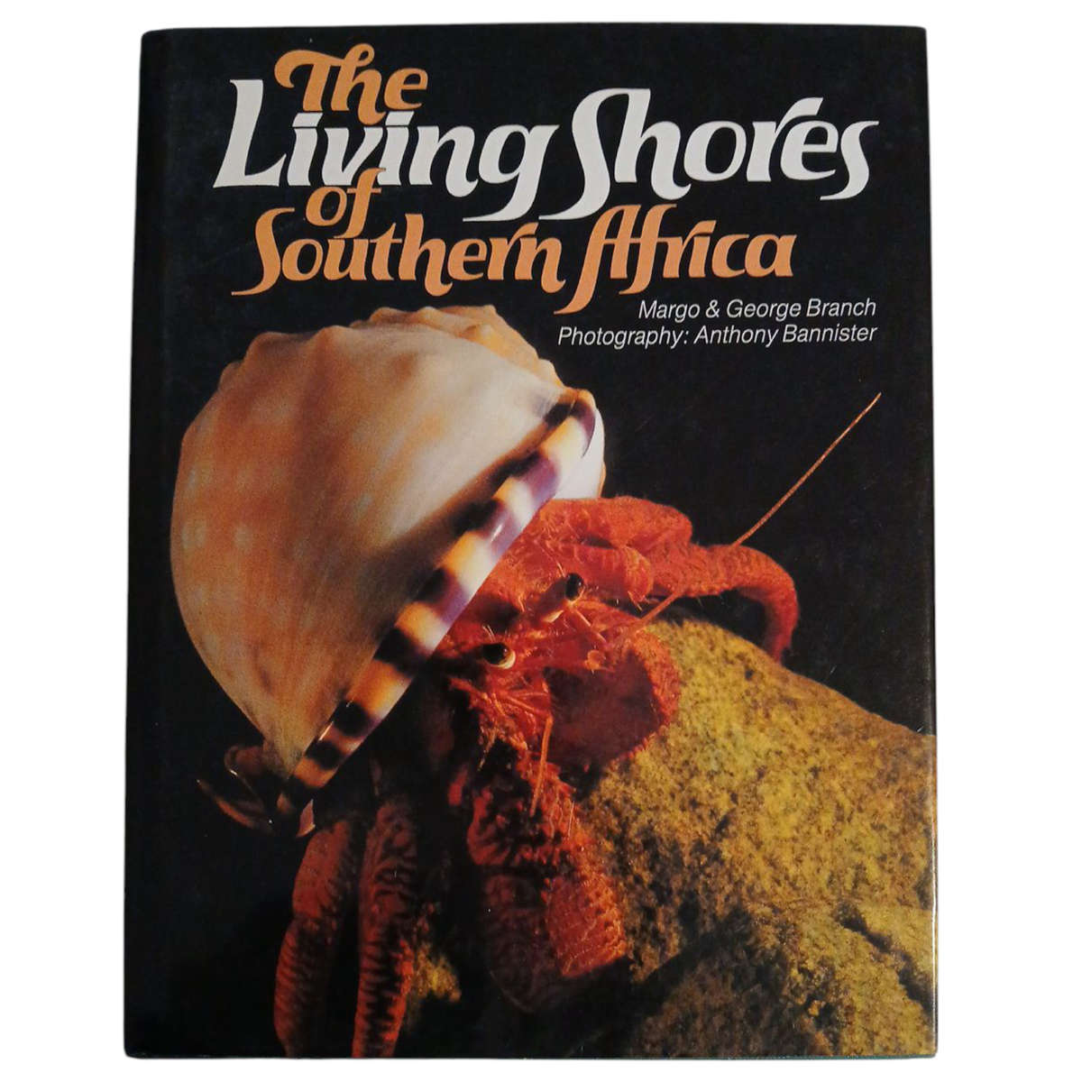 1981 The Living Shores of Southern Africa By Margo & George Branch Hardcover w/Dustjacket