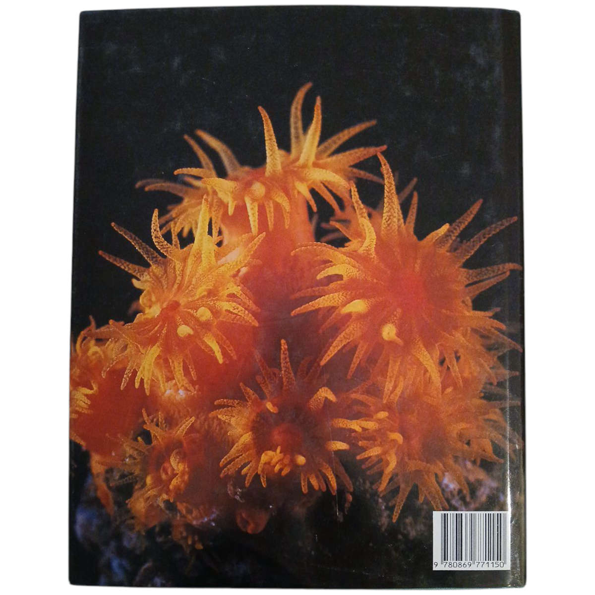 1981 The Living Shores of Southern Africa By Margo & George Branch Hardcover w/Dustjacket