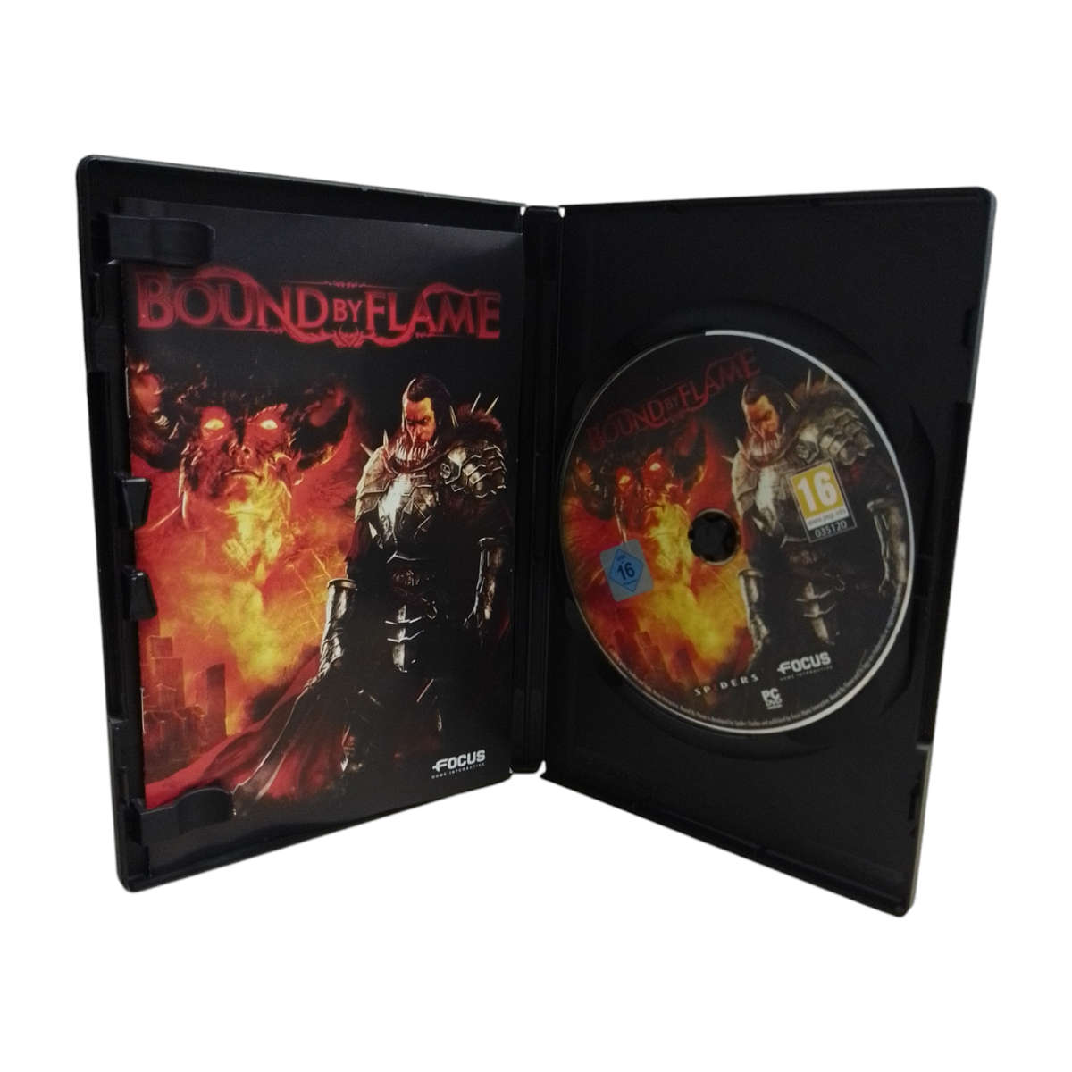 Bound By Flame PC (DVD)