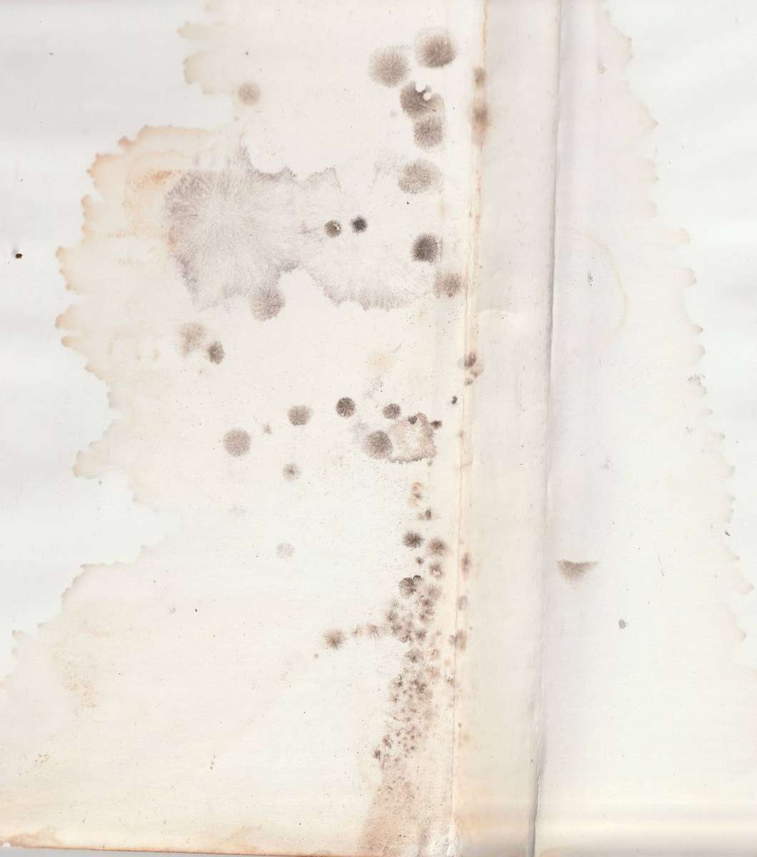 THE BOSWELLS: THE STORY OF A SOUTH AFRICAN CIRCUS by Charles Ricketts