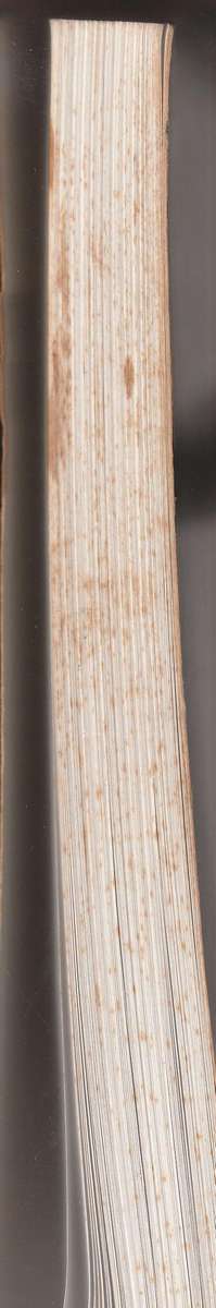 A CENTURY OF ANGLO-BOER WAR STORIES - Chris N van der Merwe & Michael Rice