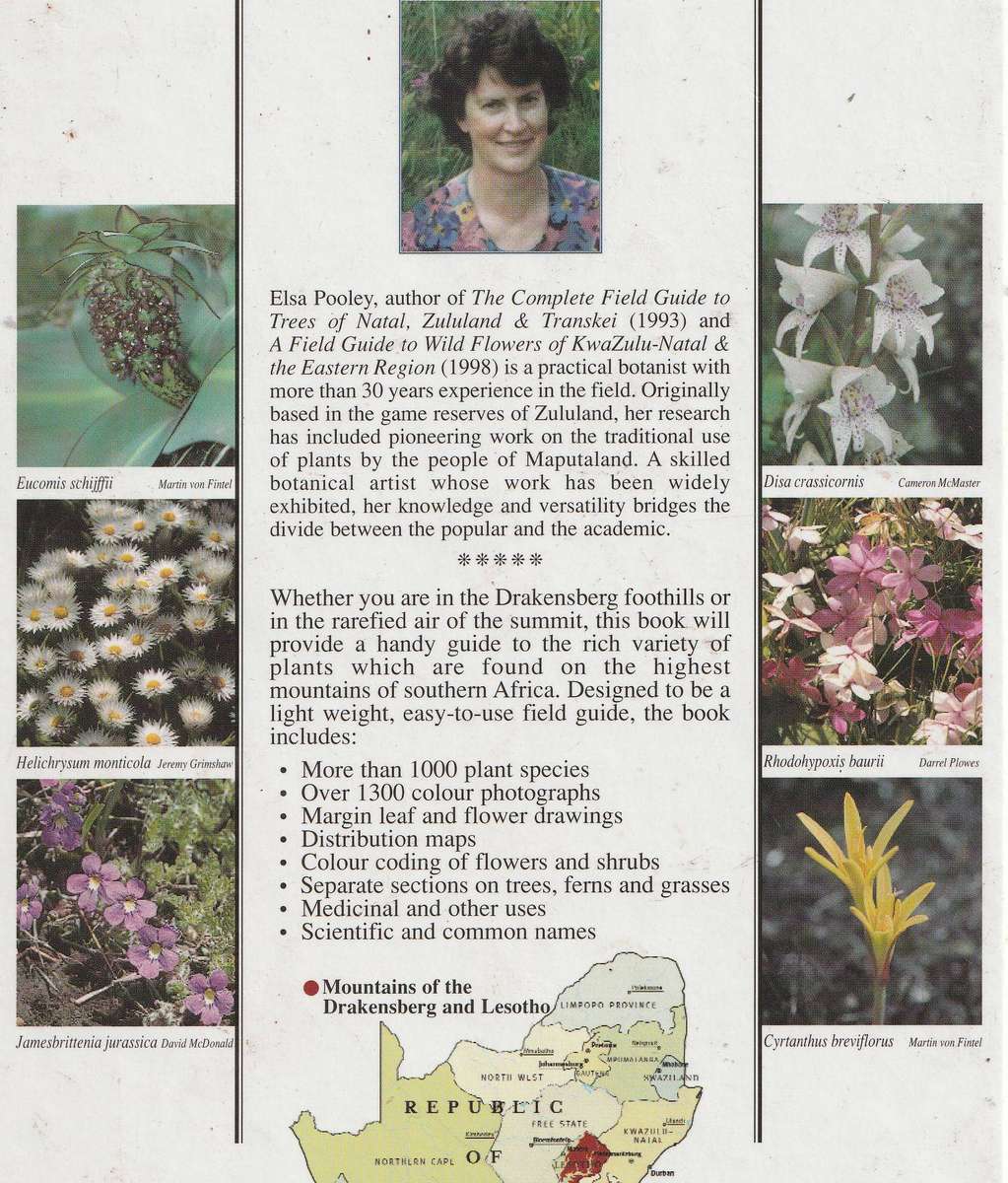 MOUNTAIN FLOWERS: a field guide to the flora of the Drakensberg & Lesotho - Elsa Pooley