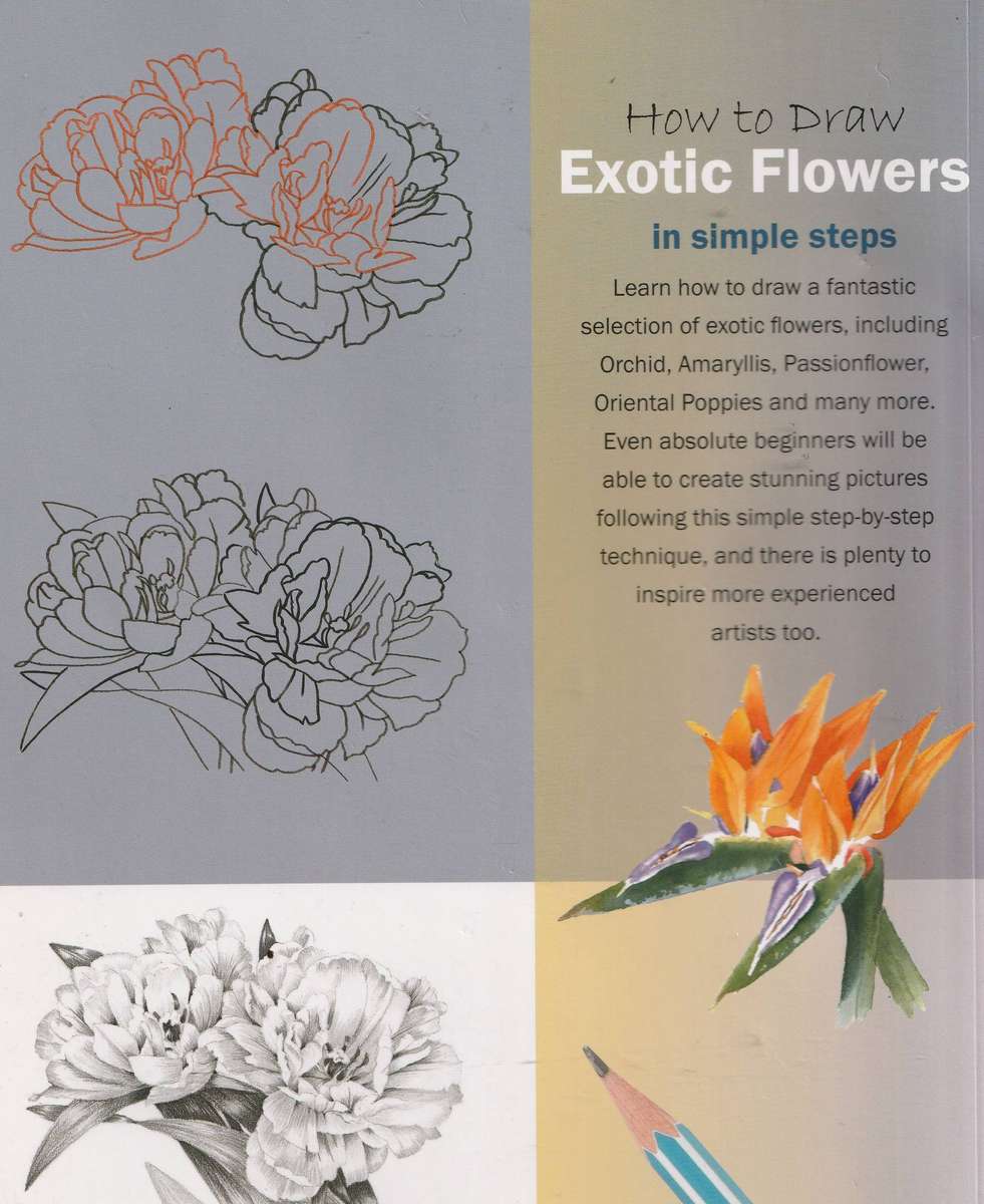 DRAWING MASTERCLASS ( + DVD ) by Barrington Barber + HOW TO DRAW EXOTIC FLOWERS IN SIMPLE STEPS