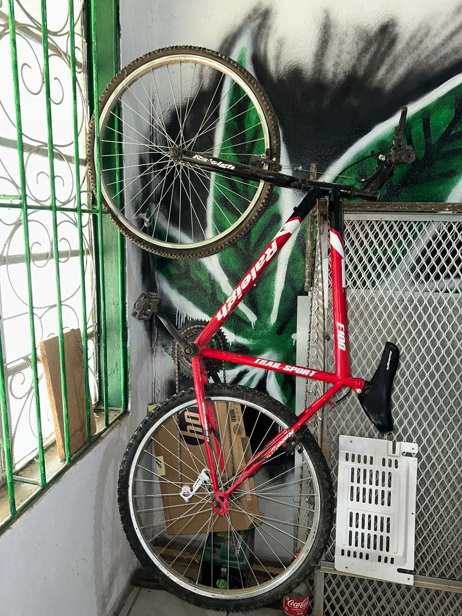 Raleigh Bicycle-Good Condition