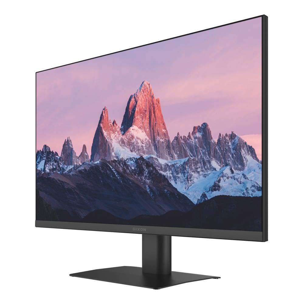 Dixon 23.8-inch IPS monitor with 100Hz refresh rate and VESA mount