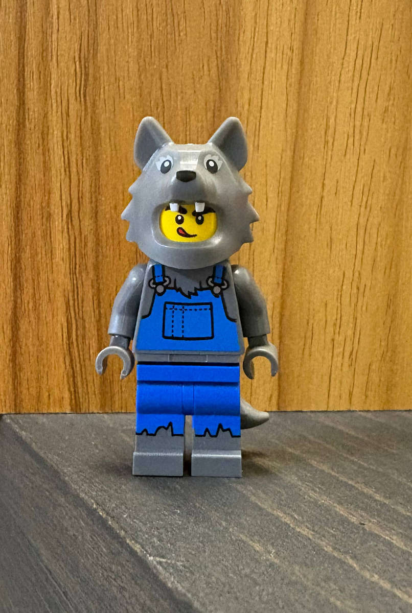 Lego Minifigure Bundle