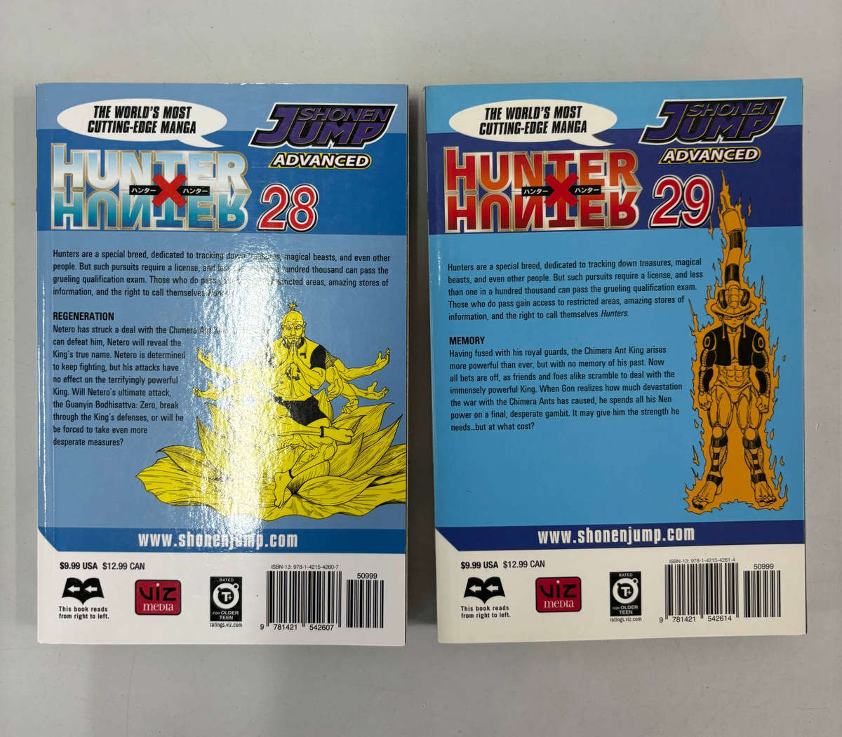 Hunter x Hunter Manga Bundle