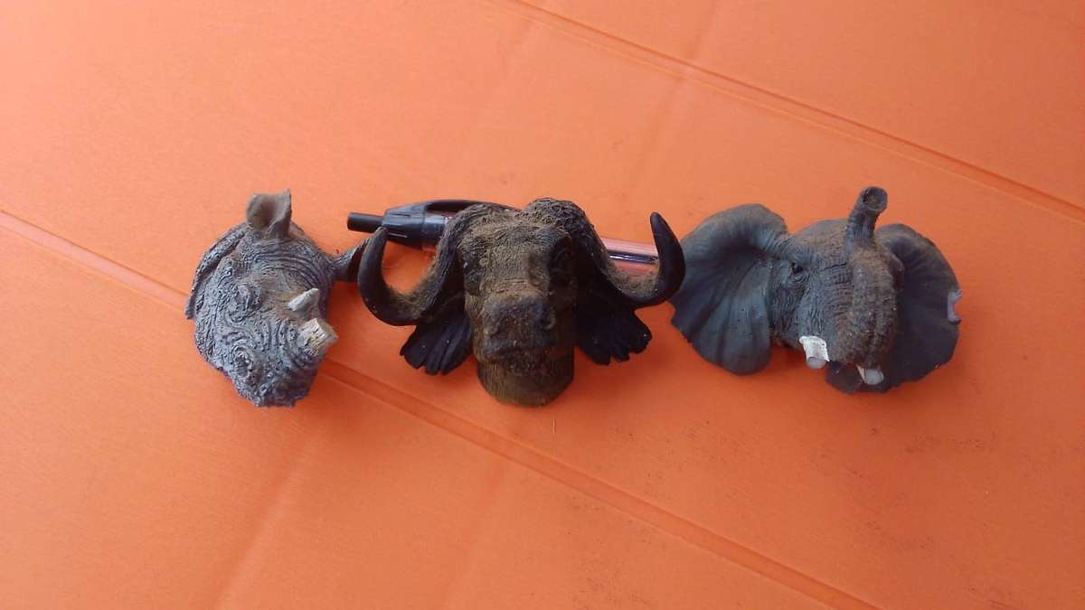 Rhino, buffalo and elephant figure heads