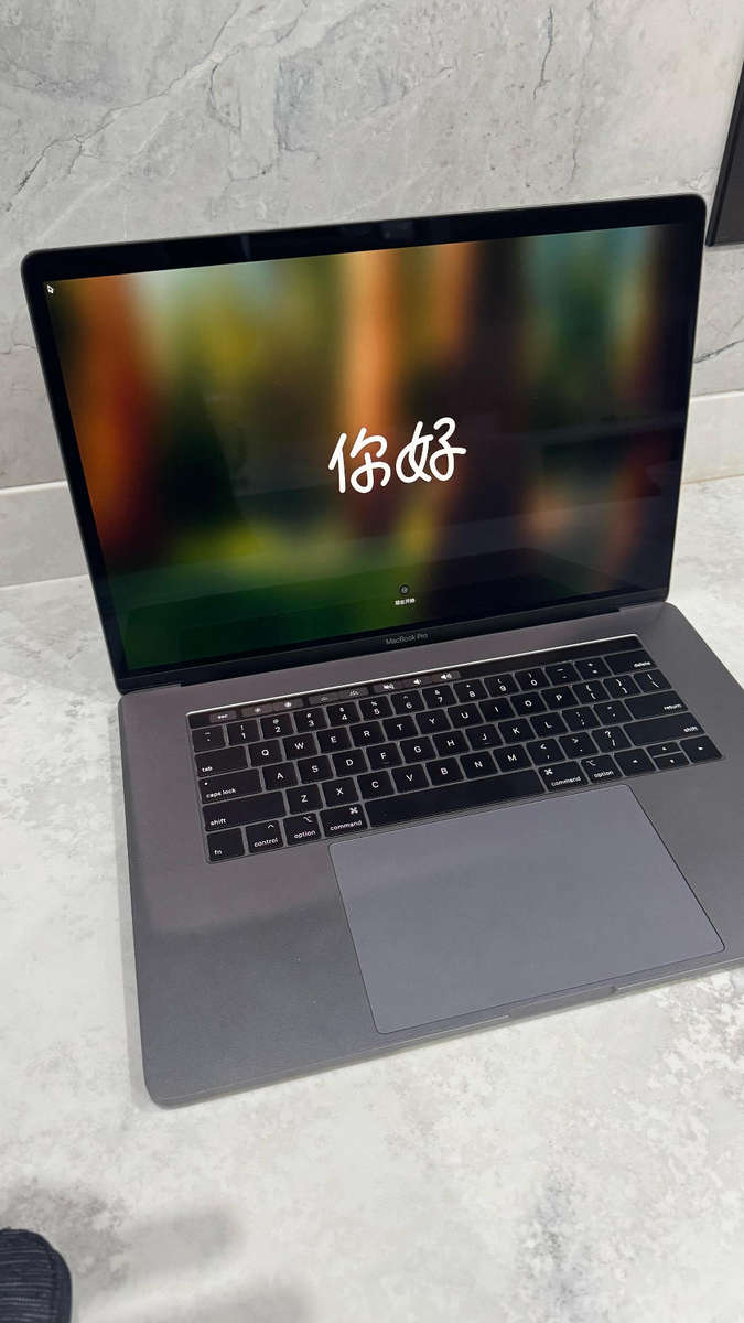 APPLE MACBOOK PRO 15' I7 WITH RADEON 560X GRAPHICS