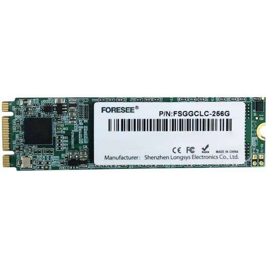 Forsee 256 GB M2 SSD