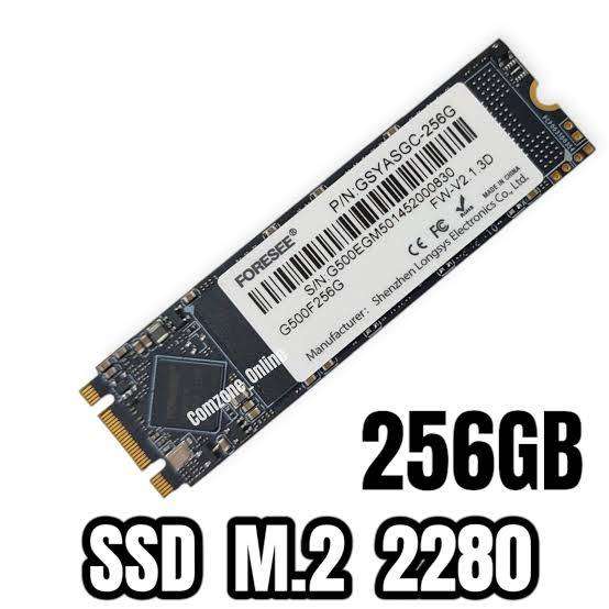 Forsee 256 GB M2 SSD