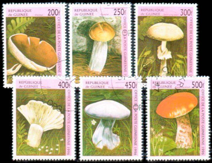 GUINEA  - 1996 - SG 1712-1717 - F/S - 6 V - USED - CV £3.80