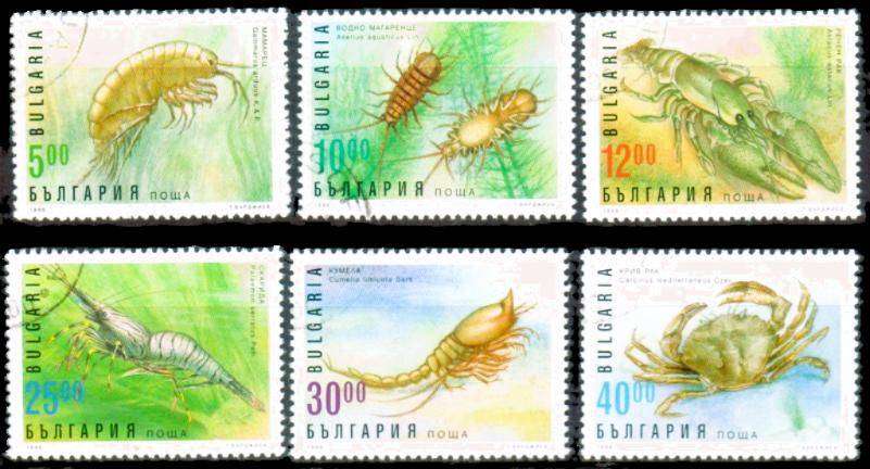 BULGARIA - 1996 - SG 4093-4098 - F/S - 6 V - USED - CV £3.20