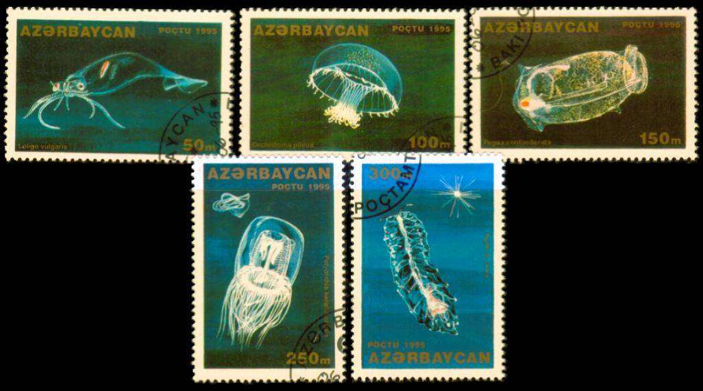 AZERBAIJAN - 1995 - SG 228-232 - F/S - 5 V - USED - CV £7.30