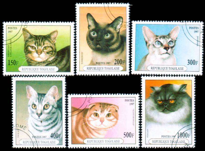 TOGO REPUBLIC - 1997 - CATS - F/S - 6 V - USED