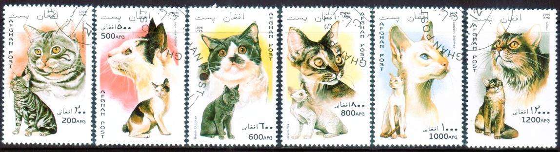 AFGHANISTAN - 1996 - CATS - F/S - 6 V - USED