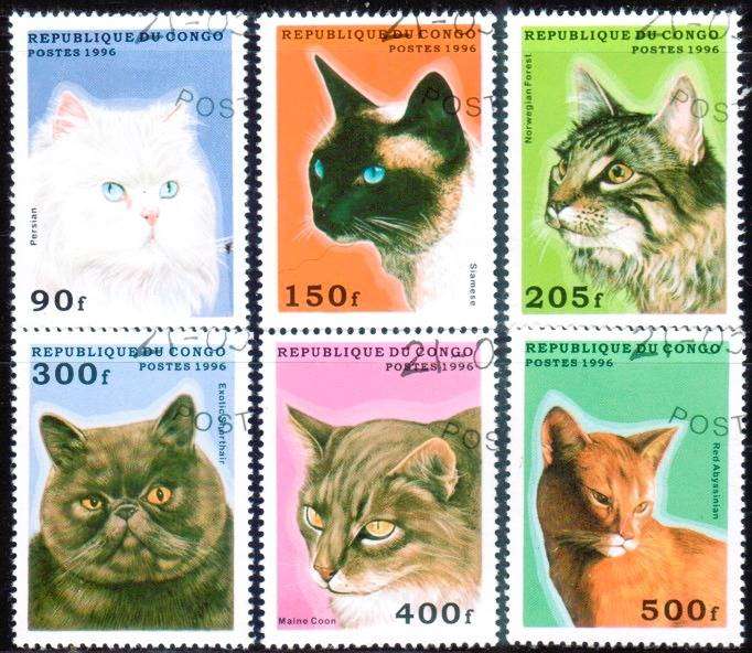 CONGO - 1996 - CATS - F/S - 6 V - USED