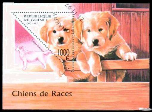 GUINEA - 1997 - DOGS - MINIATURE SHEET - SG MS 1781 - USED - CV £3.75