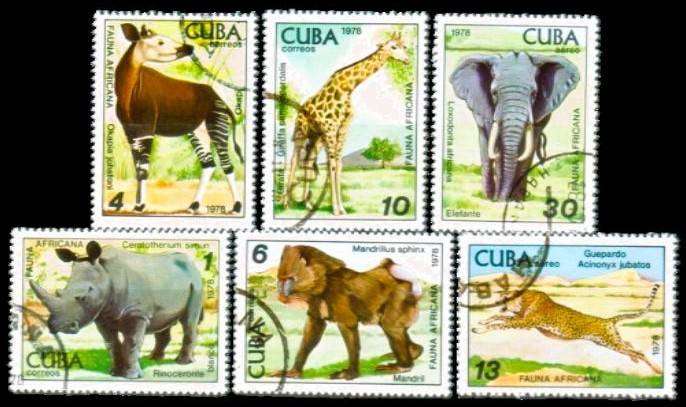 CUBA - 1978 - SG 2504-2509 - F/S 6 V - USED - CV £1.40