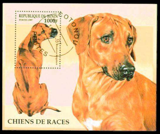BENIN - 1997 - SG MS 1637 - MINIATURE SHEET - USED - CV £4.00