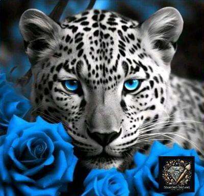 "special" Diamond dot paintings