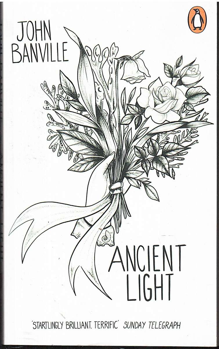 Ancient Light - John Banville