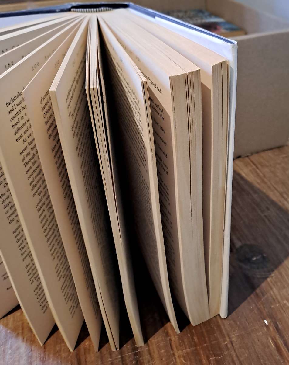 Beach Music - Pat Conroy