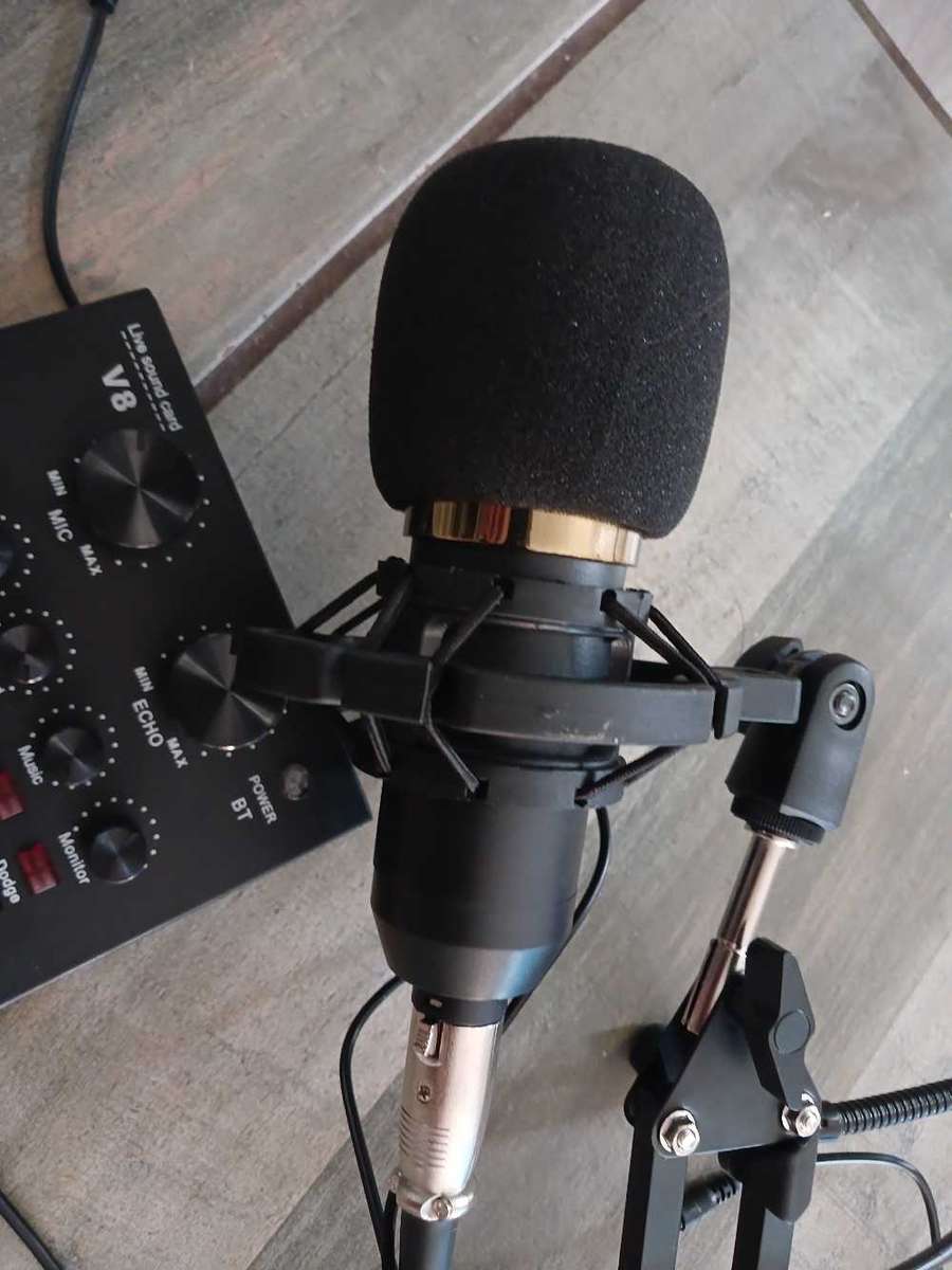 Profesional mic/live sound card