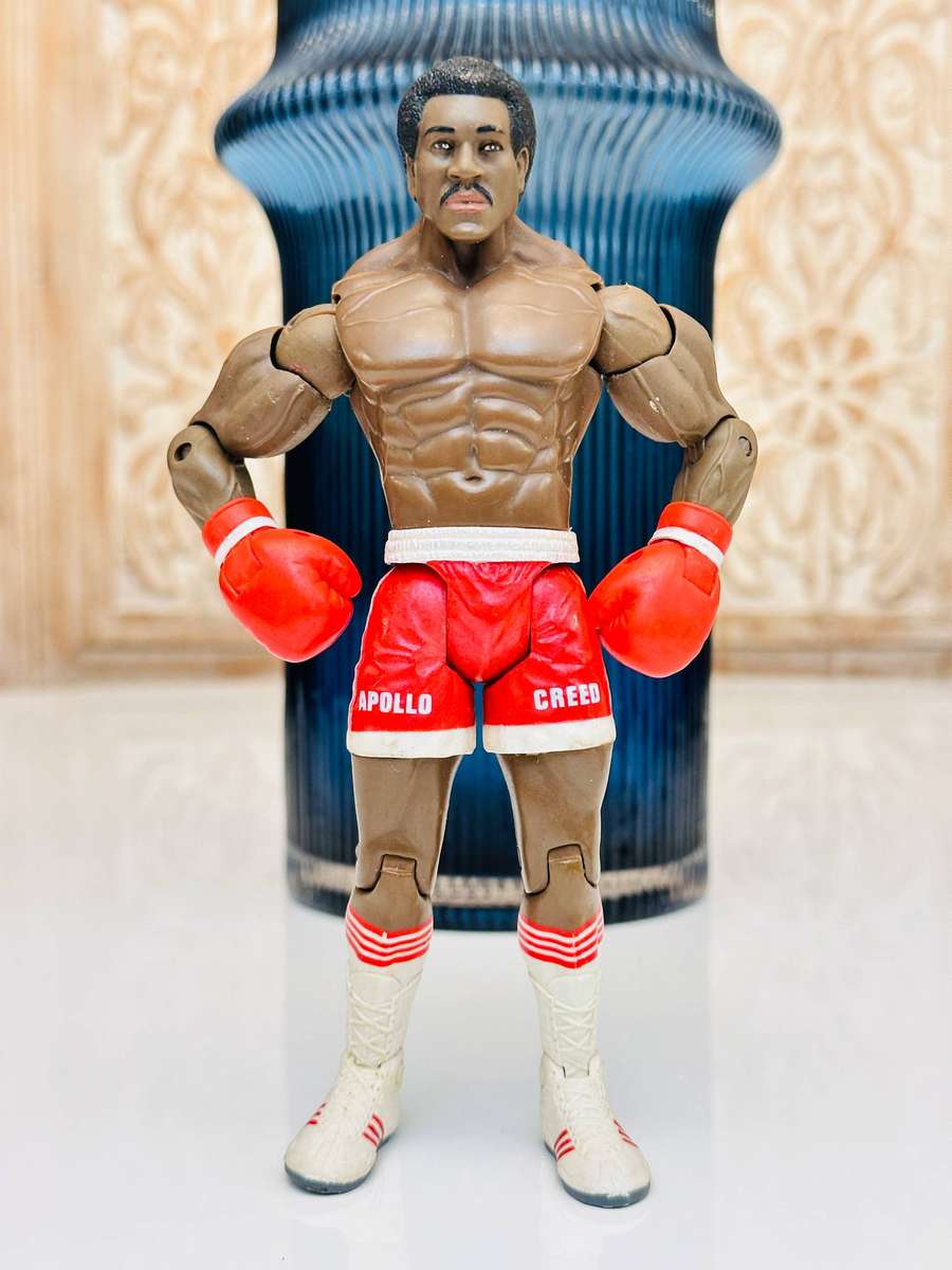 Iconic 2006 Retired Vintage Rocky Balboa Collectable Action Figures