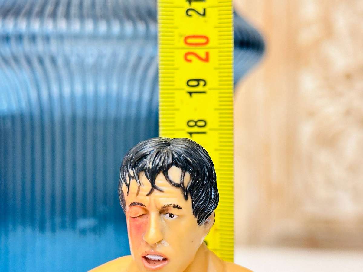 Iconic 2006 Retired Vintage Rocky Balboa Collectable Action Figures