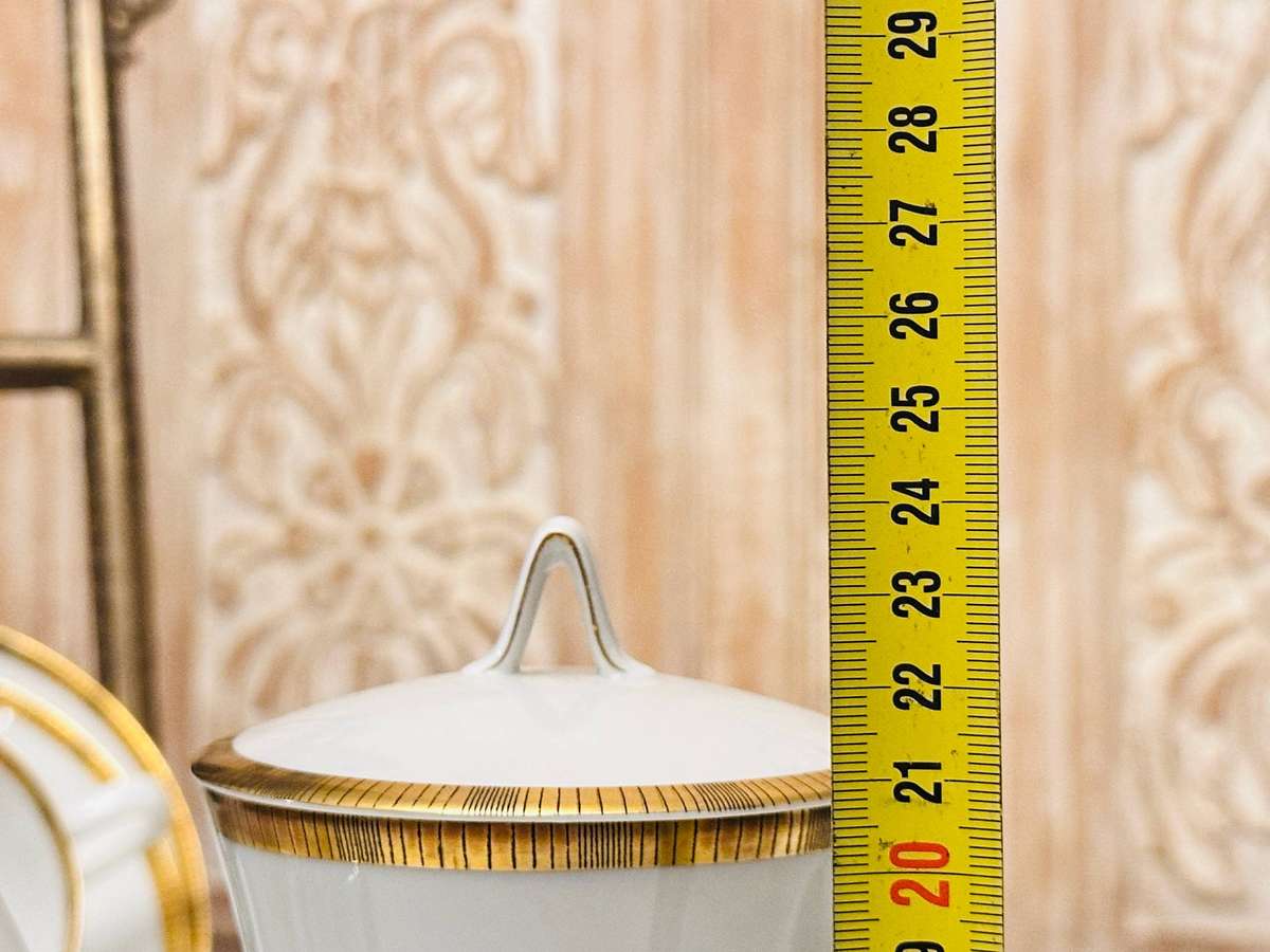 Rosenthal Luxury Vintage Porcelain Tea Set