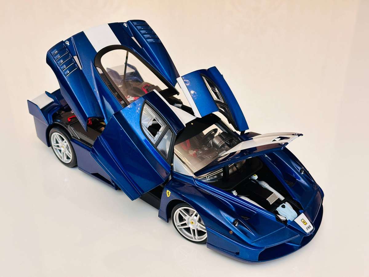 FERRARI Hot Wheels Elite Limited Edition Enzo FXX 1:18 Model Collectable