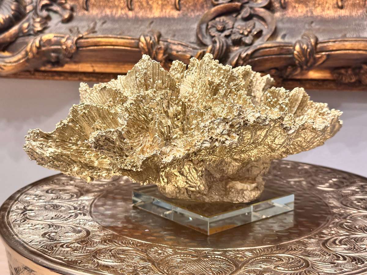 Exquisite Large Decor Coral Statement Piece