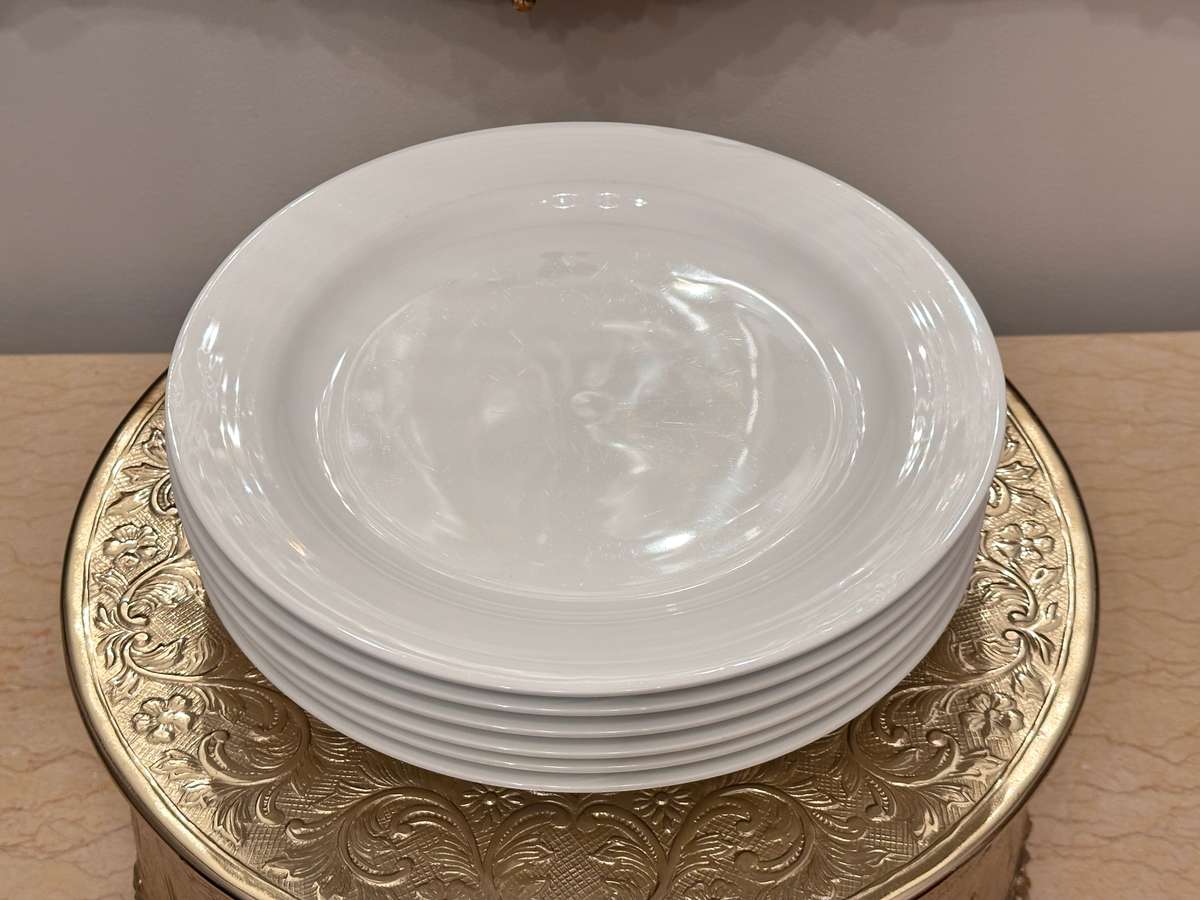 Elegant NORITAKE Dinner Plates- Set of 6