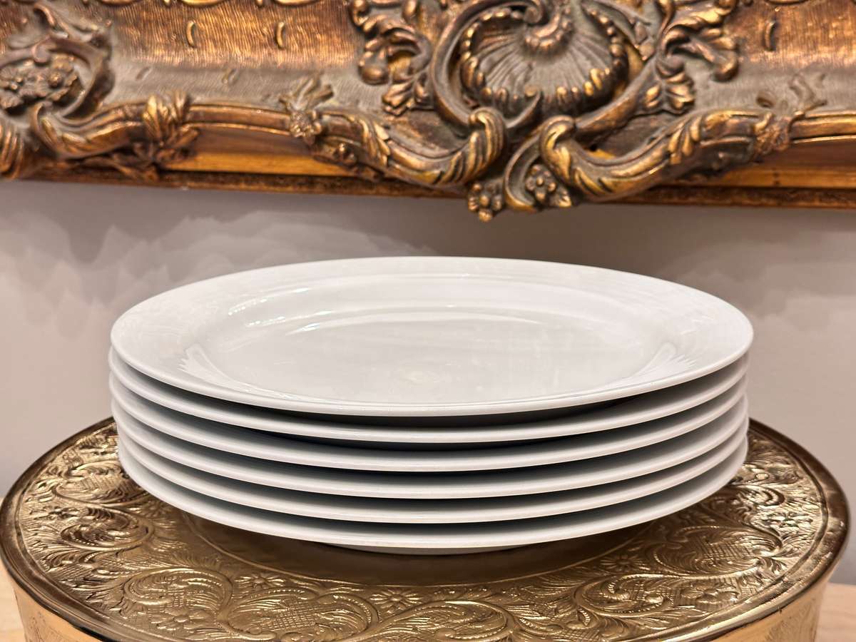 Elegant NORITAKE Dinner Plates- Set of 6