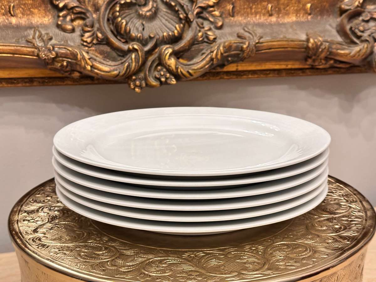 Elegant NORITAKE Dinner Plates- Set of 6