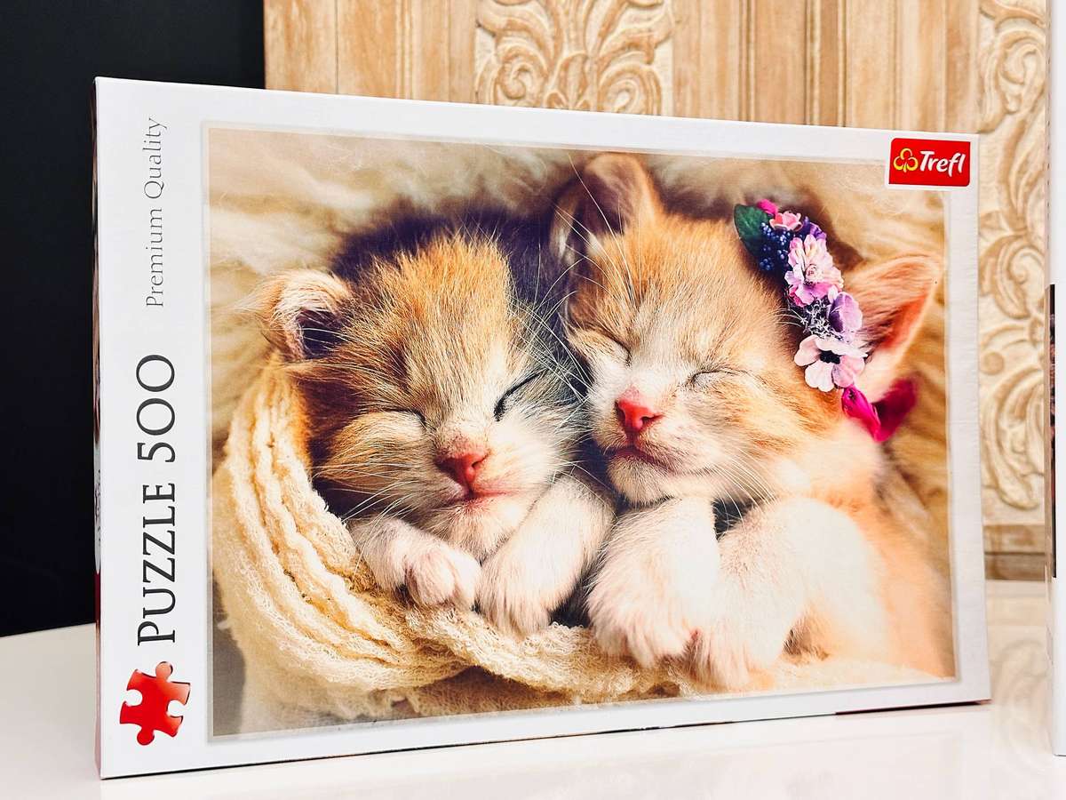 Photographers Series Puzzle Collection