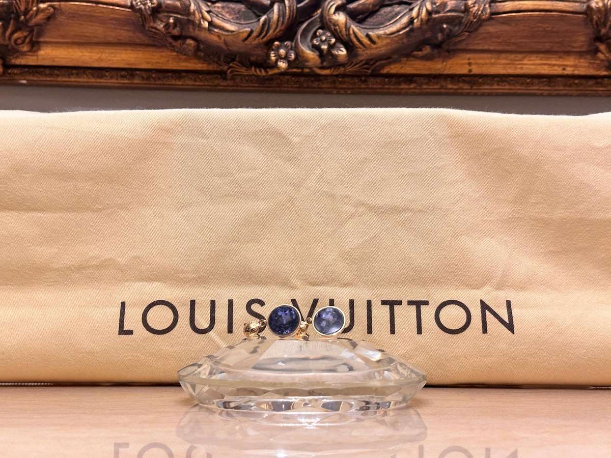 Louis Vuitton Iconic Collection Statement Earrings