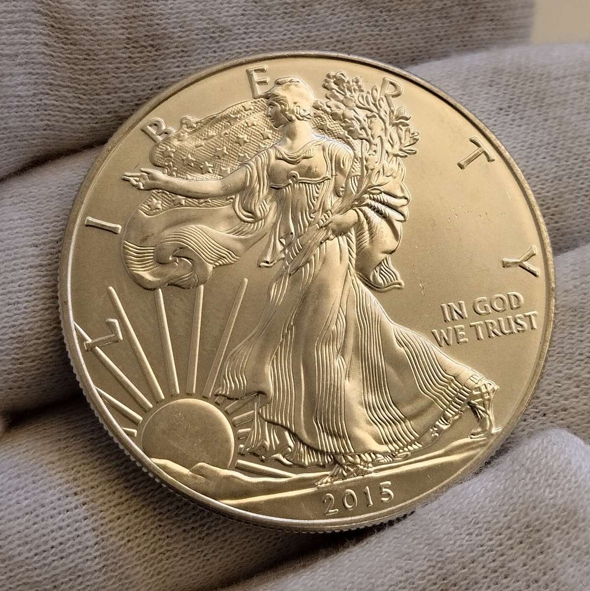 2015 1oz Silver American Eagles #C0091