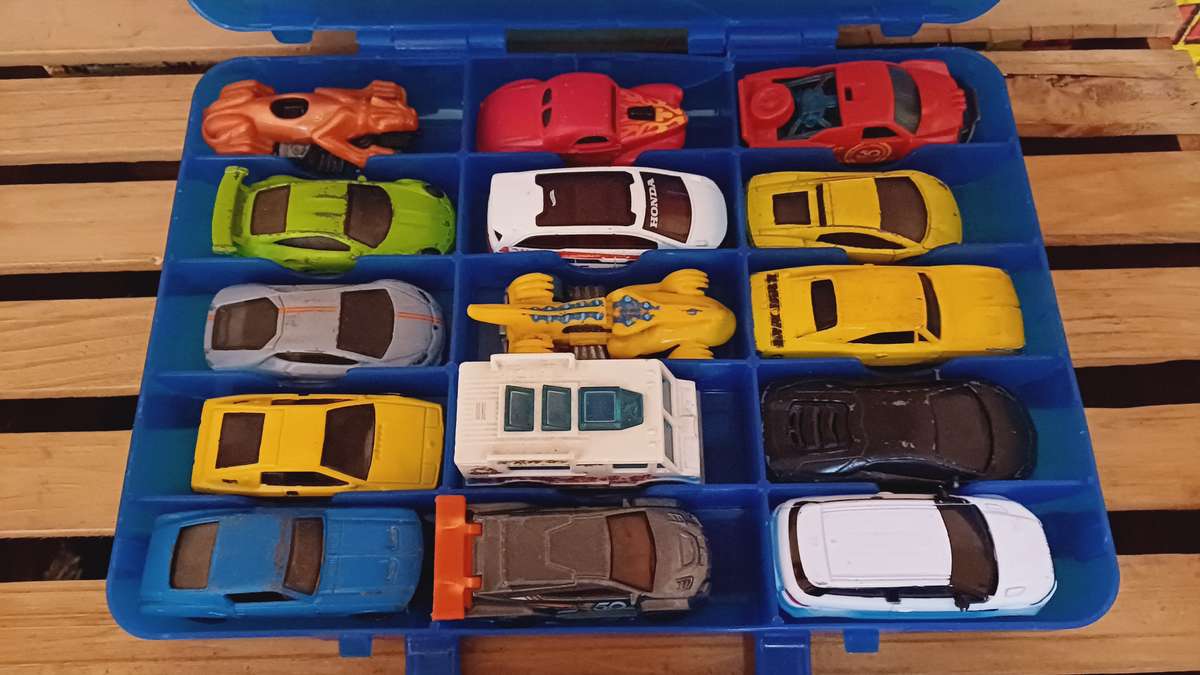 Hot Wheels Carry Case & Die Cast Cars