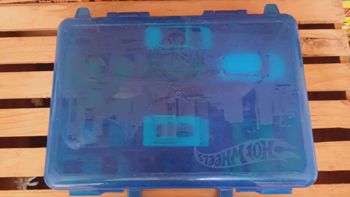 Hot Wheels Carry Case & Die Cast Cars