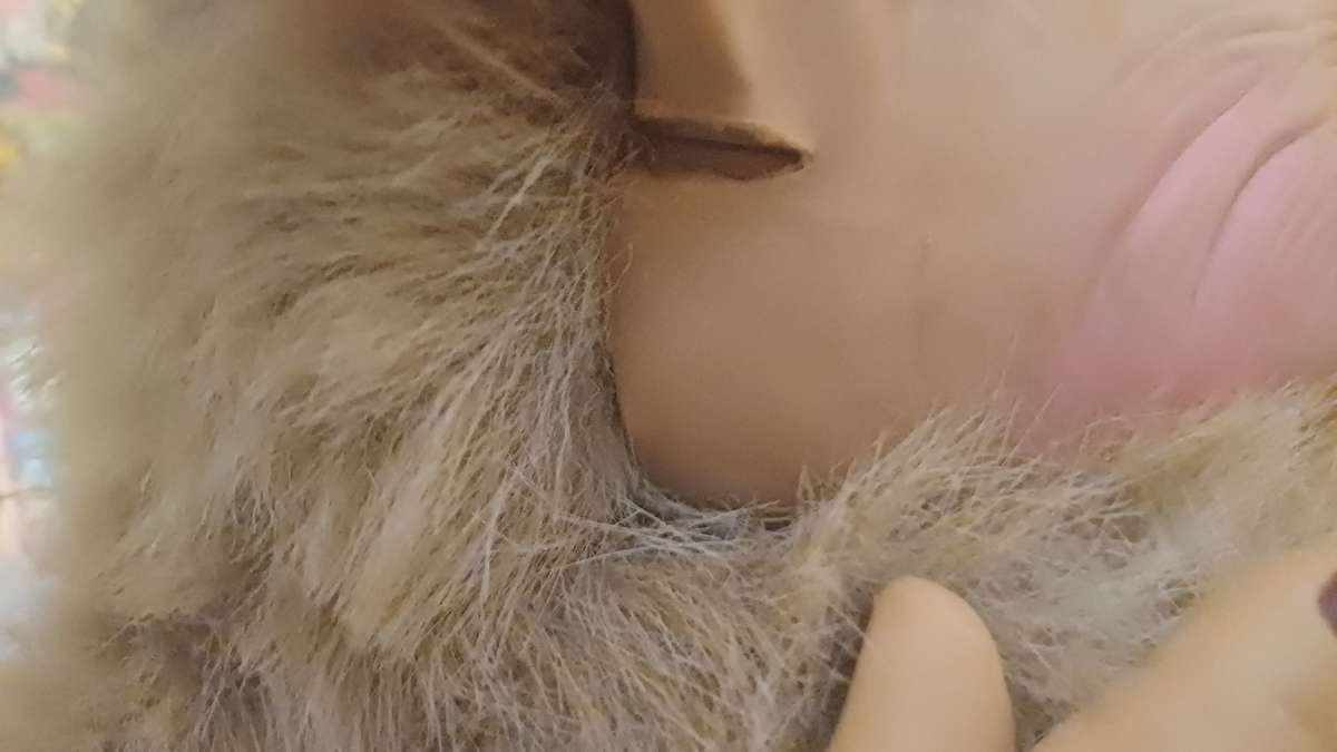 Vintage Yano Interactive Storyteller Electronic Animated Talking Pal (Not tested)