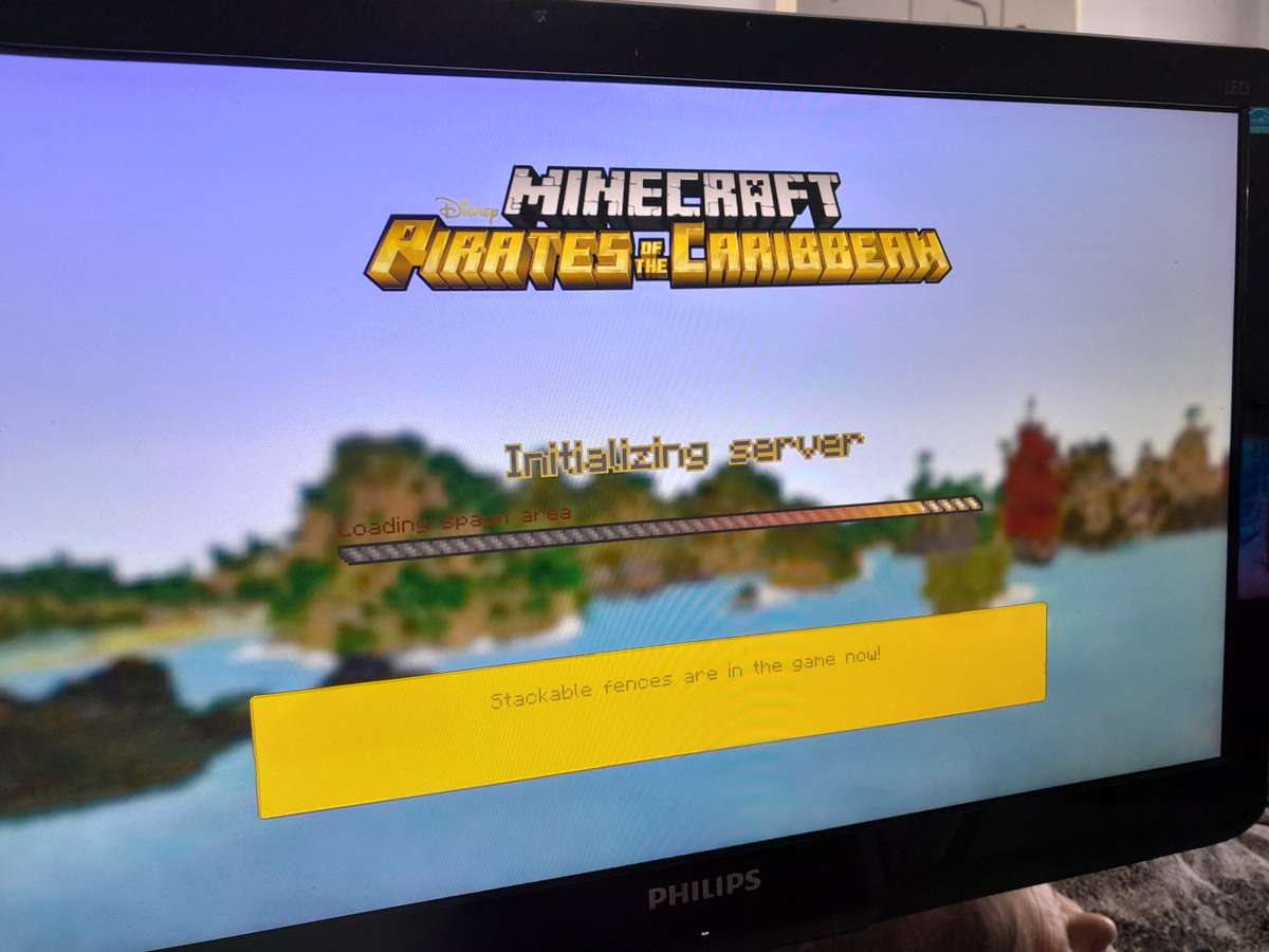 Minecraft Playstation 3 Edition (Ps3)