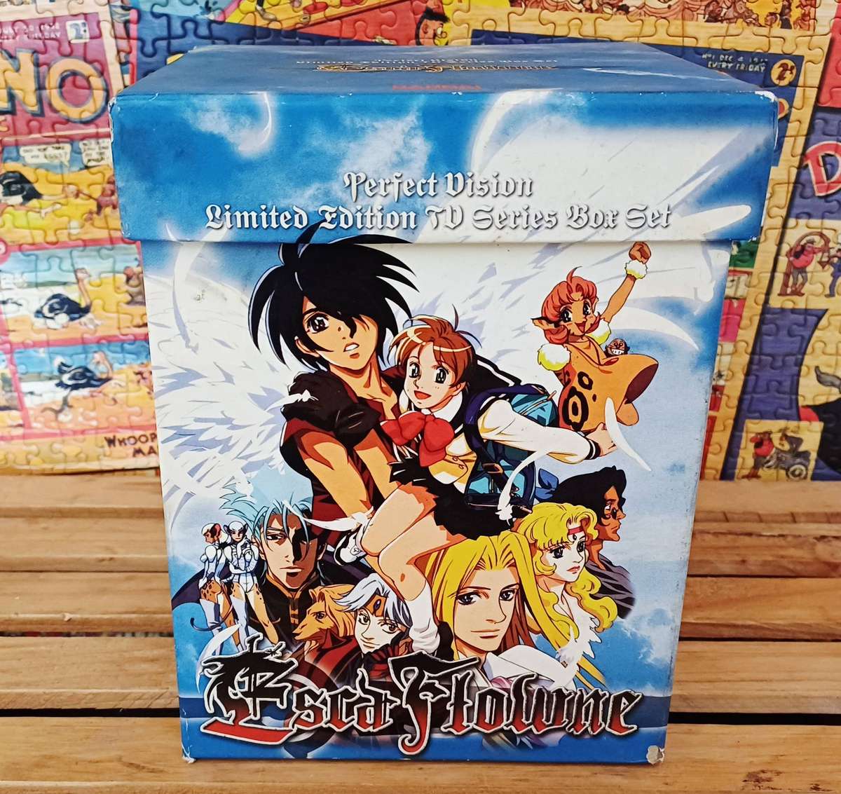 Perfect Vision - Limited Edition TV Series Box Set - Escaflowne