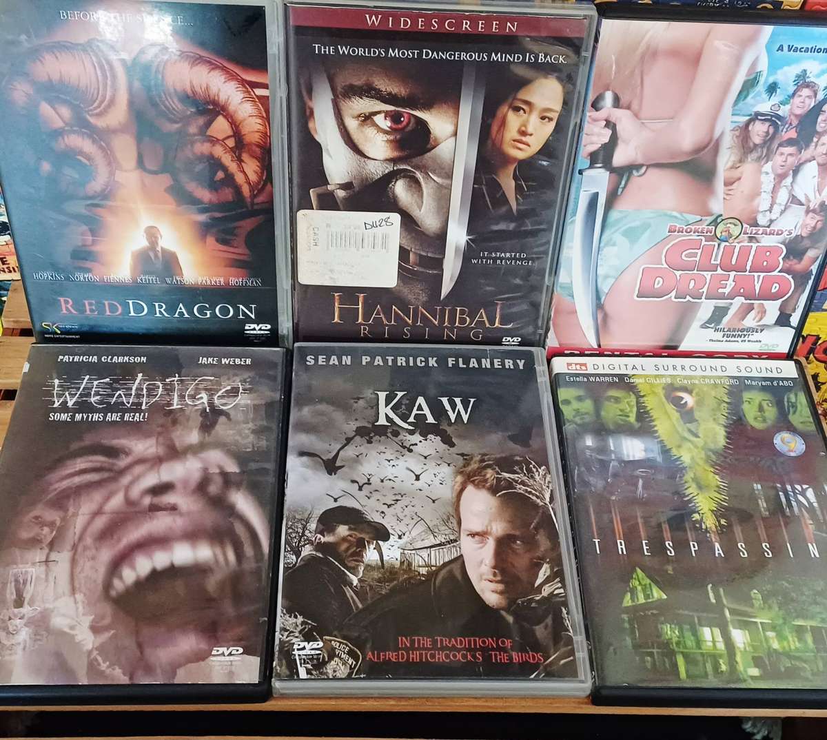 Horror DVD Bundle (x17)