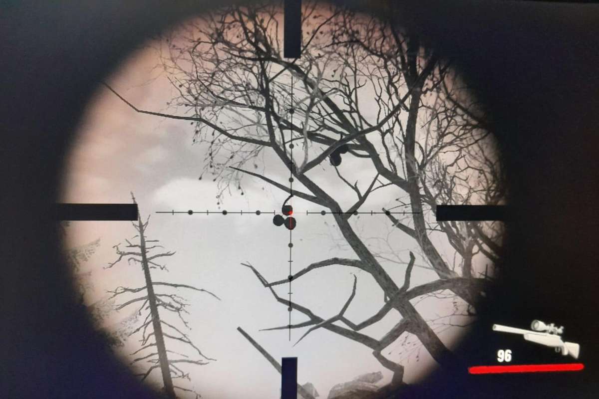 Cabela's Dangerous Hunts 2011 (Ps3)