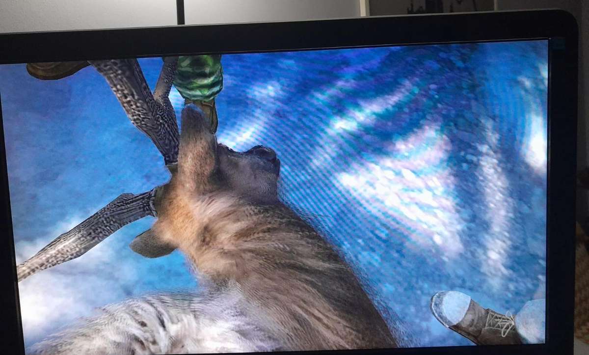 Cabela's Dangerous Hunts 2011 (Ps3)