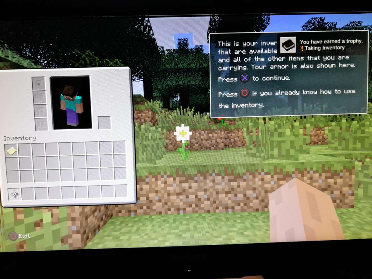 Minecraft Playstation 3 Edition (Ps3)